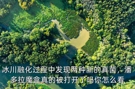 冰川融化過(guò)程中發(fā)現(xiàn)兩種新的真菌，潘多拉魔盒真的被打開(kāi)了嗎你怎么看