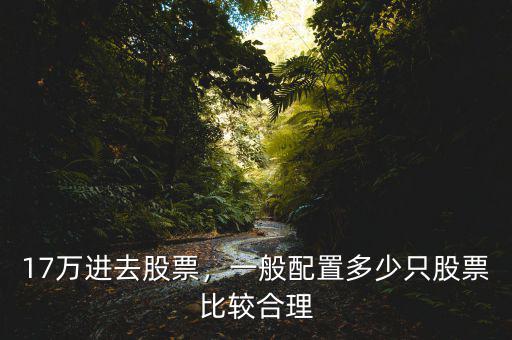 17萬進去股票，一般配置多少只股票比較合理