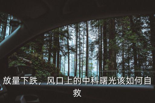 放量下跌，風(fēng)口上的中科曙光該如何自救