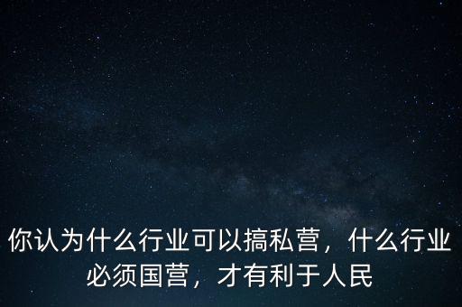你認(rèn)為什么行業(yè)可以搞私營，什么行業(yè)必須國營，才有利于人民