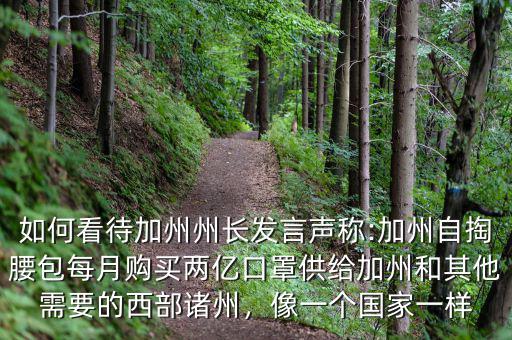 如何看待加州州長發(fā)言聲稱:加州自掏腰包每月購買兩億口罩供給加州和其他需要的西部諸州，像一個(gè)國家一樣