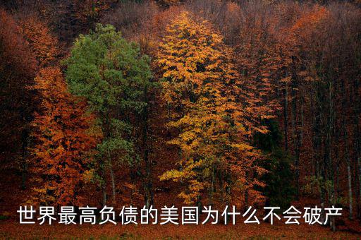 世界最高負(fù)債的美國為什么不會(huì)破產(chǎn)