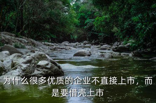 為什么很多優(yōu)質(zhì)的企業(yè)不直接上市，而是要借殼上市