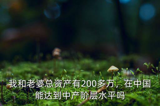 我和老婆總資產(chǎn)有200多萬，在中國能達到中產(chǎn)階層水平嗎