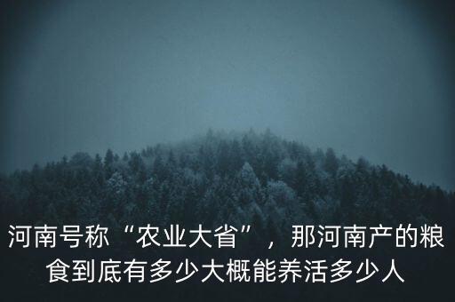 河南號(hào)稱“農(nóng)業(yè)大省”，那河南產(chǎn)的糧食到底有多少大概能養(yǎng)活多少人
