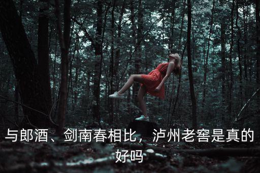 與郎酒、劍南春相比，瀘州老窖是真的好嗎