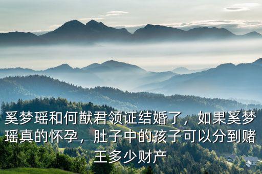 奚夢瑤和何猷君領(lǐng)證結(jié)婚了，如果奚夢瑤真的懷孕，肚子中的孩子可以分到賭王多少財產(chǎn)