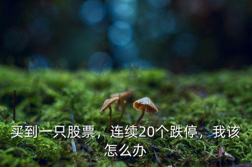 買到一只股票，連續(xù)20個跌停，我該怎么辦
