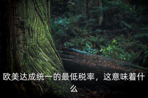 歐美達(dá)成統(tǒng)一的最低稅率，這意味著什么