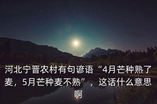 河北寧晉農村有句諺語“4月芒種熟了麥，5月芒種麥不熟”，這話什么意思啊