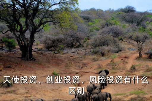 天使投資、創(chuàng)業(yè)投資、風(fēng)險(xiǎn)投資有什么區(qū)別