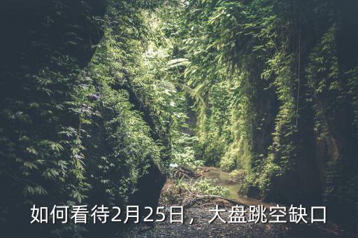 如何看待2月25日，大盤(pán)跳空缺口