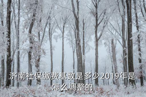 濟南社?；鶖?shù)怎么算,2019年是怎么調(diào)整的