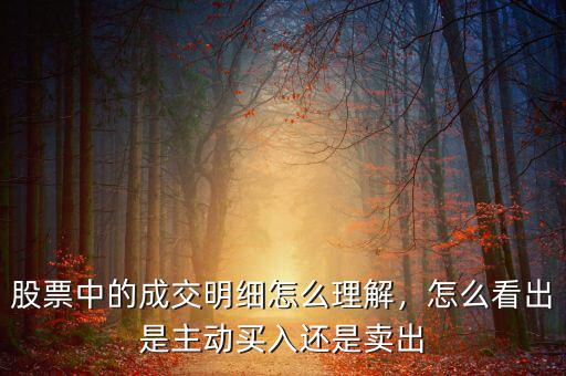 股票中的成交明細怎么理解，怎么看出是主動買入還是賣出