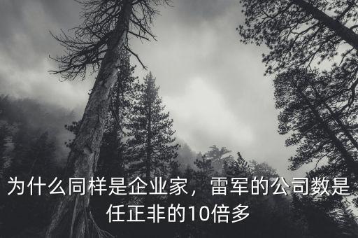 為什么同樣是企業(yè)家，雷軍的公司數(shù)是任正非的10倍多
