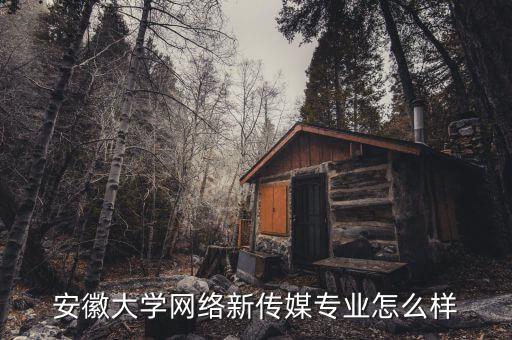 安徽大學網(wǎng)絡(luò)新傳媒專業(yè)怎么樣