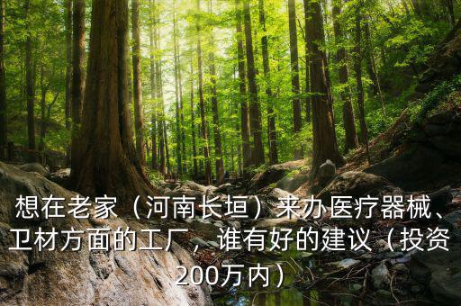 想在老家（河南長垣）來辦醫(yī)療器械、衛(wèi)材方面的工廠，誰有好的建議（投資200萬內(nèi)）