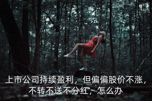 上市公司持續(xù)盈利，但偏偏股價(jià)不漲，不轉(zhuǎn)不送不分紅，怎么辦