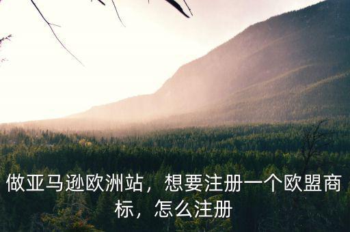 做亞馬遜歐洲站，想要注冊一個歐盟商標，怎么注冊
