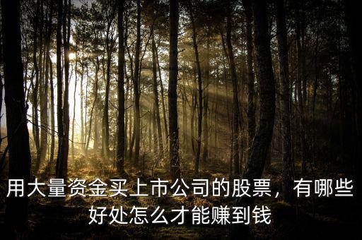 用大量資金買上市公司的股票，有哪些好處怎么才能賺到錢