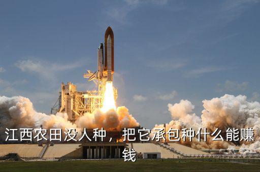 江西農(nóng)田沒人種，把它承包種什么能賺錢