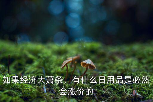 如果經(jīng)濟大蕭條，有什么日用品是必然會漲價的