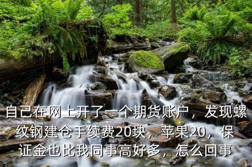 自己在網(wǎng)上開了一個(gè)期貨賬戶，發(fā)現(xiàn)螺紋鋼建倉(cāng)手續(xù)費(fèi)20塊，蘋果20，保證金也比我同事高好多，怎么回事