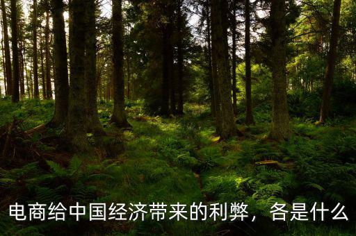 電商給中國經(jīng)濟(jì)帶來的利弊，各是什么