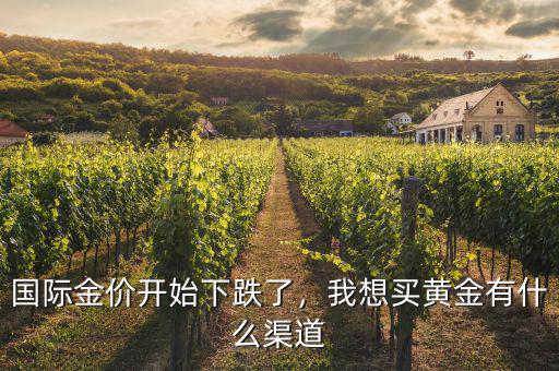 國際金價開始下跌了，我想買黃金有什么渠道