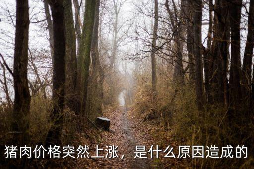 豬肉價(jià)格突然上漲，是什么原因造成的