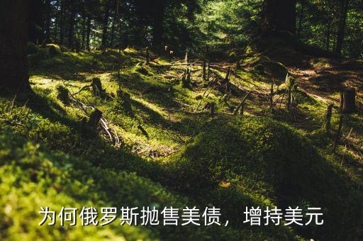 為何俄羅斯拋售美債，增持美元
