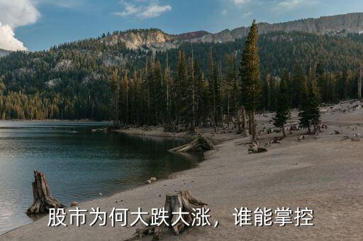 股市為何大跌大漲，誰能掌控