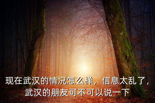 現(xiàn)在武漢的情況怎么樣，信息太亂了，武漢的朋友可不可以說(shuō)一下