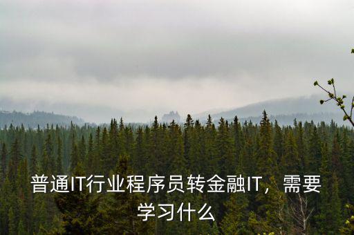 普通IT行業(yè)程序員轉(zhuǎn)金融IT，需要學習什么