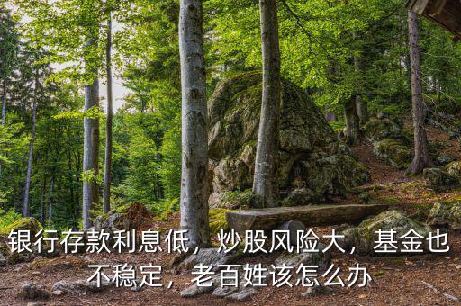銀行存款利息低，炒股風險大，基金也不穩(wěn)定，老百姓該怎么辦