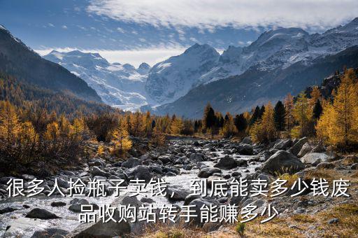 很多人撿瓶子賣錢，到底能賣多少錢廢品收購站轉手能賺多少
