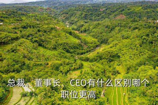 總裁、董事長、CEO有什么區(qū)別哪個職位更高