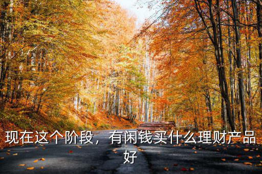 現(xiàn)在這個階段，有閑錢買什么理財產(chǎn)品好