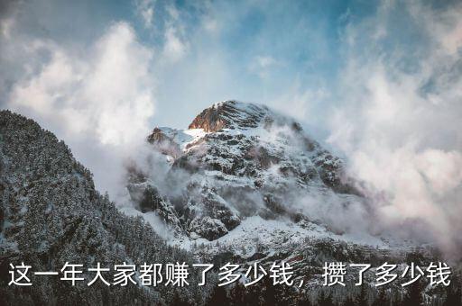 這一年大家都賺了多少錢，攢了多少錢