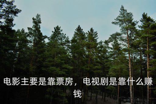 電影主要是靠票房，電視劇是靠什么賺錢
