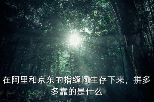 在阿里和京東的指縫間生存下來(lái)，拼多多靠的是什么