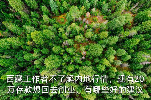 西藏工作者不了解內(nèi)地行情，現(xiàn)有20萬存款想回去創(chuàng)業(yè)，有哪些好的建議