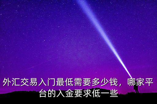 外匯交易入門最低需要多少錢，哪家平臺(tái)的入金要求低一些