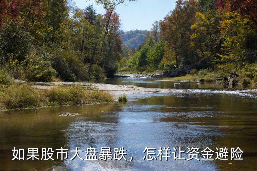 如果股市大盤暴跌，怎樣讓資金避險