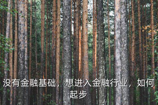沒有金融基礎(chǔ)，想進(jìn)入金融行業(yè)，如何起步