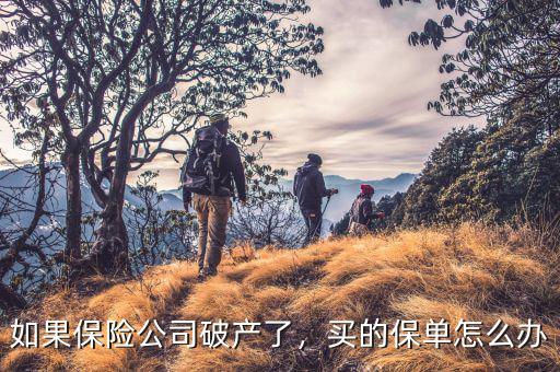 如果保險(xiǎn)公司破產(chǎn)了，買的保單怎么辦