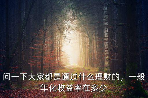 問一下大家都是通過什么理財(cái)?shù)?，一般年化收益率在多? class=