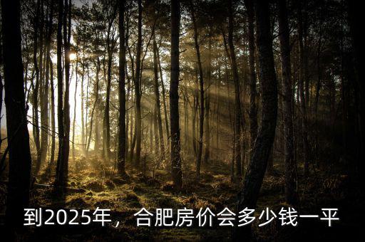 到2025年，合肥房?jī)r(jià)會(huì)多少錢一平