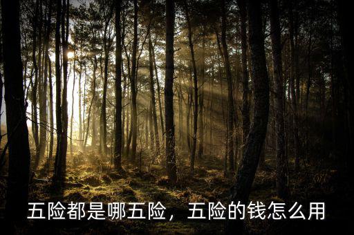 五險(xiǎn)都是哪五險(xiǎn)，五險(xiǎn)的錢(qián)怎么用