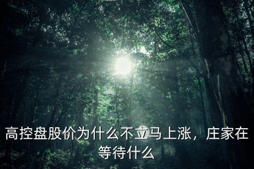 高控盤股價為什么不立馬上漲，莊家在等待什么